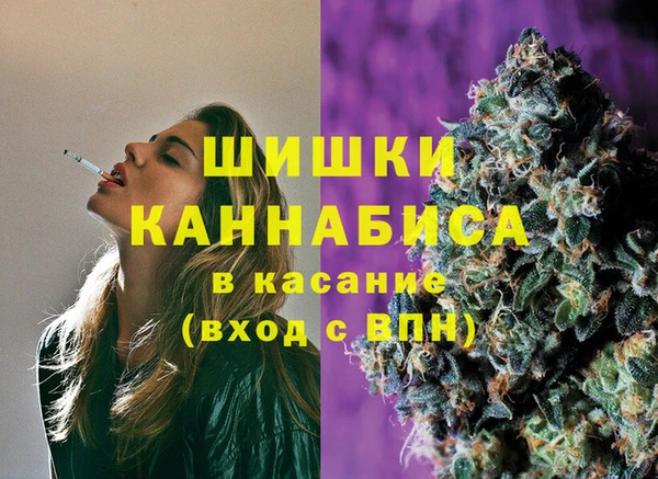 гашик Верея