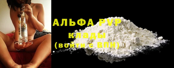 гашик Верея