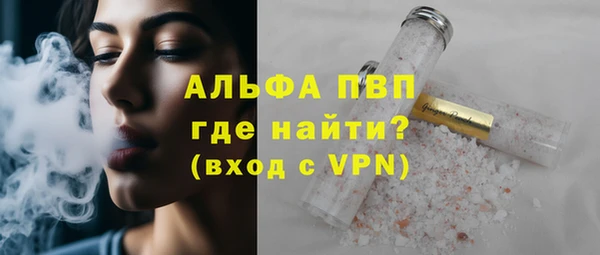 гашик Верея