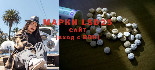 гашик Верея