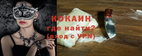 гашик Верея