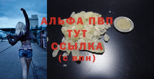 гашик Верея