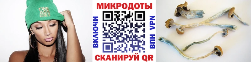 Галлюциногенные грибы Cubensis  Купить  Богданович 