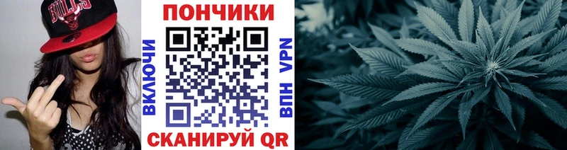 Бошки марихуана конопля  Купить закладки  Богданович 